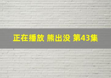 正在播放 熊出没 第43集